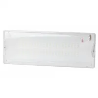 Аварийный светильник DPA-301-1-65 постоянный 40LED 3ч IP65 NiCD